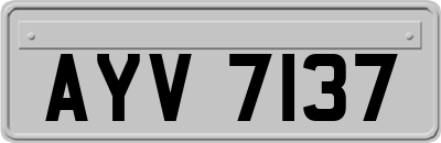 AYV7137