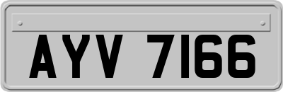 AYV7166
