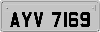 AYV7169