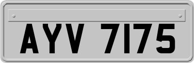 AYV7175