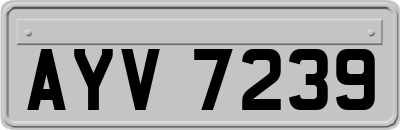 AYV7239