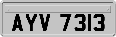 AYV7313