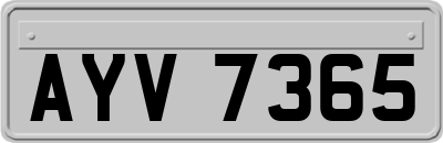AYV7365