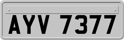 AYV7377
