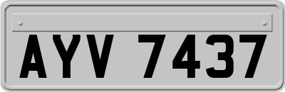 AYV7437
