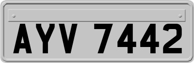 AYV7442