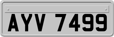 AYV7499