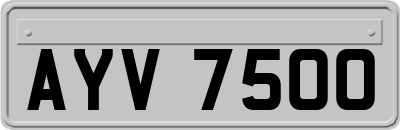 AYV7500