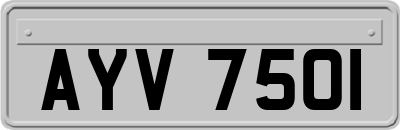 AYV7501