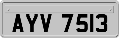 AYV7513