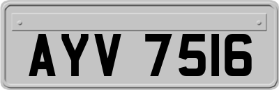 AYV7516