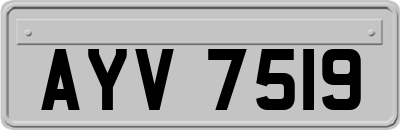 AYV7519