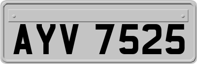 AYV7525
