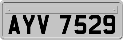 AYV7529