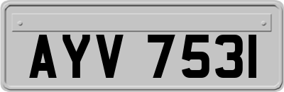 AYV7531