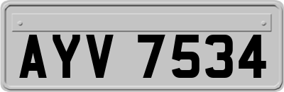 AYV7534