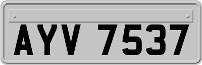 AYV7537
