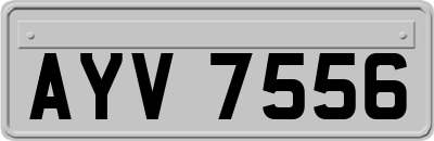 AYV7556