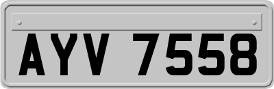 AYV7558