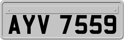 AYV7559