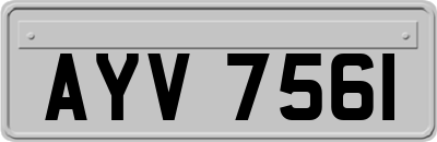 AYV7561