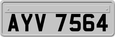 AYV7564
