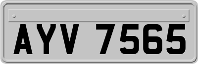 AYV7565
