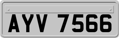 AYV7566