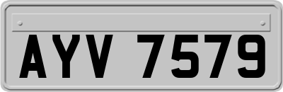 AYV7579