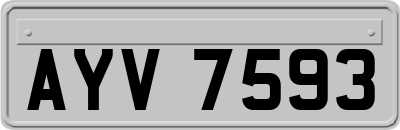 AYV7593