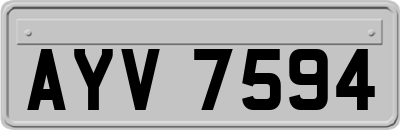 AYV7594