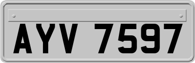 AYV7597