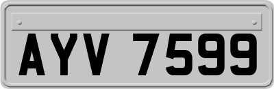 AYV7599