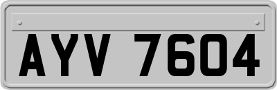 AYV7604