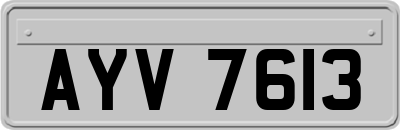 AYV7613
