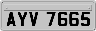 AYV7665