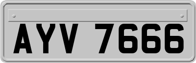 AYV7666