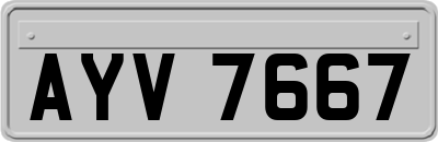 AYV7667