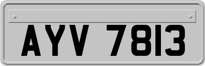 AYV7813