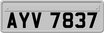 AYV7837