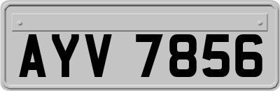 AYV7856