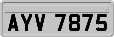AYV7875