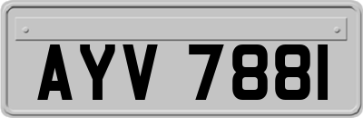 AYV7881