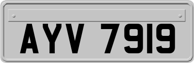 AYV7919