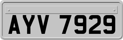 AYV7929