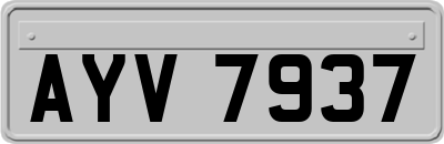 AYV7937