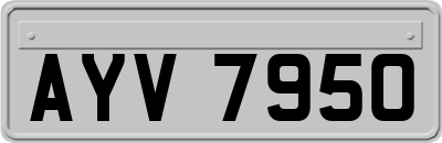 AYV7950