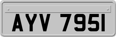 AYV7951