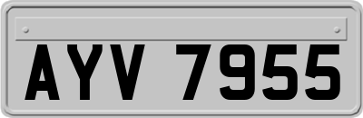 AYV7955