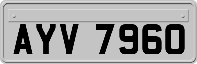 AYV7960